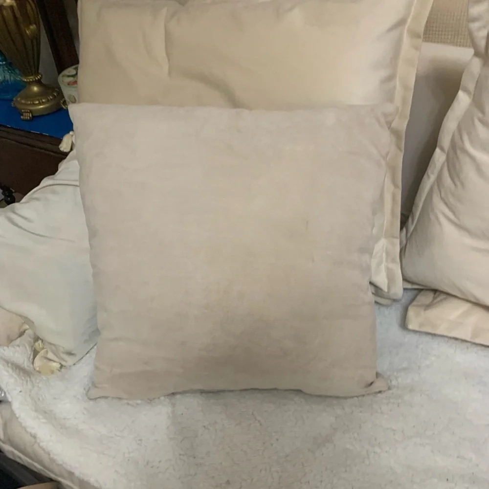 Adorable sofa or chair cushion